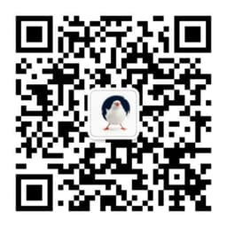 爱己传媒服务号二维码